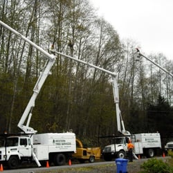 Western Tree Services