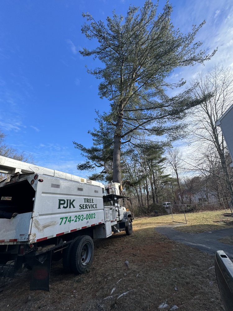PJK Tree Service - tree service in Uxbridge, MA