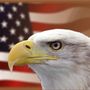 Photo of Flagsource Southeast