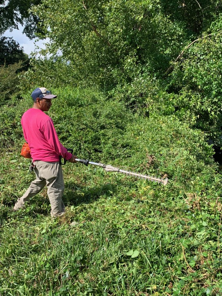 Dempster Brothers Lawn Care & Landscaping - tree service in Knoxville, TN