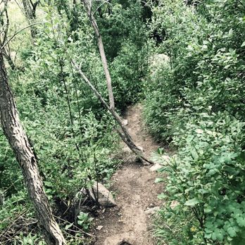 La Luz Trail - And hidden secrets worth discovering. - Hiking Near Me - Albuquerque, New Mexico