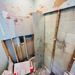 Mold Masters - mold inspection near me
