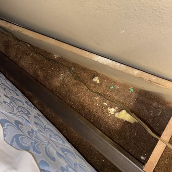 Ridge Motor Inn - Garbage and junk behind bed. Bed was broken on top of being dirty - Hotels Near Me - Portage, Wisconsin Ridge Motor Inn - Garbage and junk behind bed. Bed was broken on top of being dirty - Hotels Near Me - Portage, Wisconsin