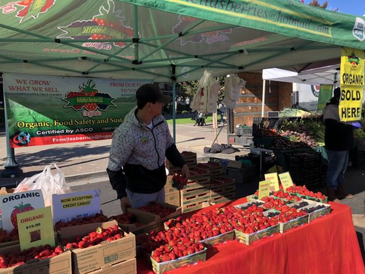 Hayward Farmers Market by null