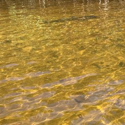 Adventure Paddle Tours