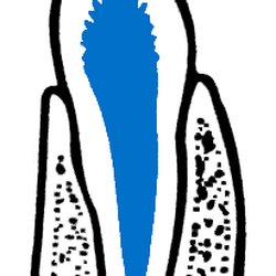 Boca Raton Periodontics