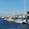 Ortega River Marina gift card