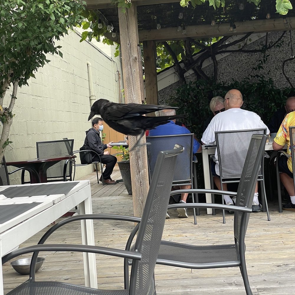 Cannery Cafe - Canadian (New) Near Me - Richmond, British Columbia