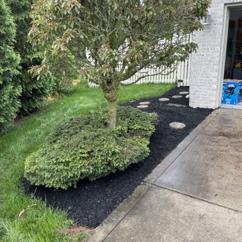 Tmc Lawn Care & Landscaping - a tree in the middle of a garden - Lawn Services Near Me Tmc Lawn Care & Landscaping - a tree in the middle of a garden - Lawn Services Near Me