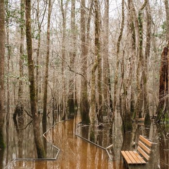 Congaree National Park - Parks Near Me - Hopkins, South Carolina