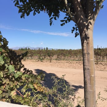 Sombra Antigua Winery - Close proximity to the vineyard. - Wineries Near Me - Chamberino, New Mexico Sombra Antigua Winery - Close proximity to the vineyard. - Wineries Near Me - Chamberino, New Mexico