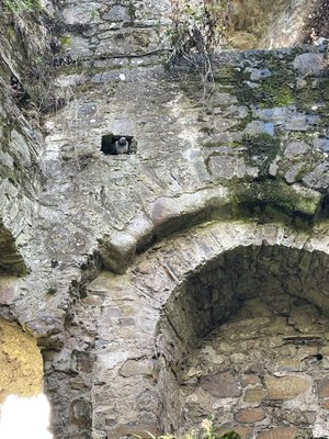 Trim Castle by null