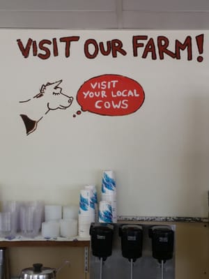 Calder Brothers Dairy by null