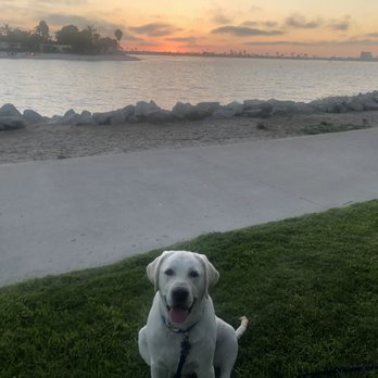 Paradise Point - Cooper enjoying his stay at Paradise Point - Resorts Near Me - San Diego, California Paradise Point - Cooper enjoying his stay at Paradise Point - Resorts Near Me - San Diego, California