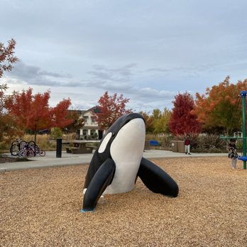Island Park - beautiful huggable orca statue! - Parks Near Me - Elk Grove, California Island Park - beautiful huggable orca statue! - Parks Near Me - Elk Grove, California