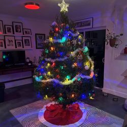 Wild Encounters - Our beautiful Christmas tree