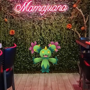 Mamajuana Cafe - Some social media vulture with a huge camera was infesting the bar, so this is my retort. - Latin American Near Me - Houston, Texas