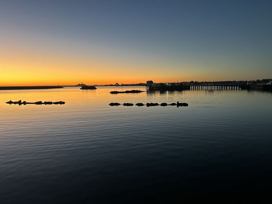 Chart Room Restaurant by null