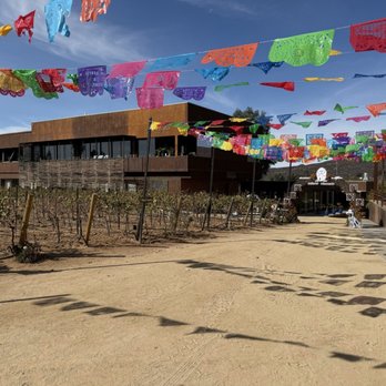 Casa Frida - Festive - Wine Tasting Room Near Me - Ensenada, BCN