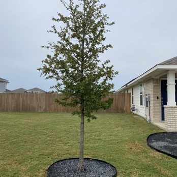 Rock Solid - Tree bed - Lawn Services Near Me Rock Solid - Tree bed - Lawn Services Near Me
