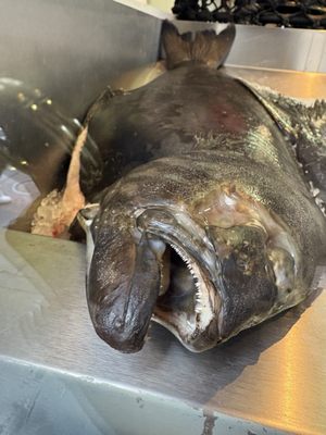 FishWorks Restaurant & Fishmongers by null