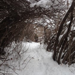 Mill Creek Ravine Park