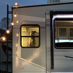 Moose River Campground - Our Dog being nosey, wanting to be part of the entertainment. lol