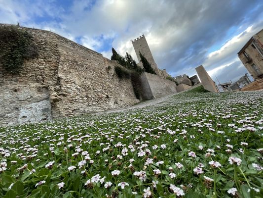 Parador de Tortosa by null