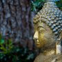 Photo of In The Mood For Meditation