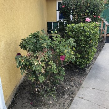 D&R Tree Services - Landscape - Tree Services Near Me