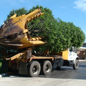 Trees R Us - Trees "R" Us Inc tree removal with our tree spade - Tree Services Near Me - Wauconda, Illinois
