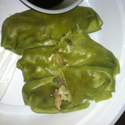 Vegetable "gyoza." I did not break them on purpose. They just broke because they're horrible. Most disgusting gyoza I've ever Vegetable "gyoza." I did not break them on purpose. They just broke because they're horrible. Most disgusting gyoza I've ever