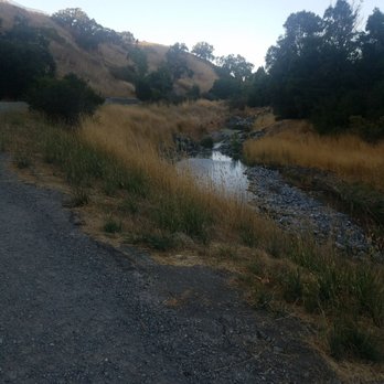 Alamo Creek Park - Stream parallel to bike path - Parks Near Me - Dublin, California Alamo Creek Park - Stream parallel to bike path - Parks Near Me - Dublin, California