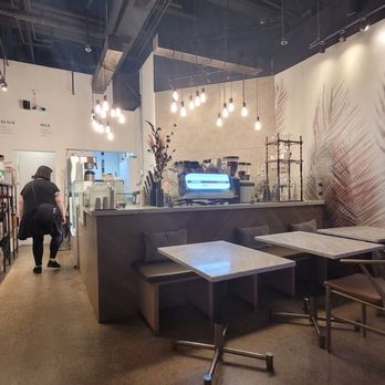 Black Wolf Coffee - View of interior when walking in - Coffee & Tea Near Me - Toronto, Ontario