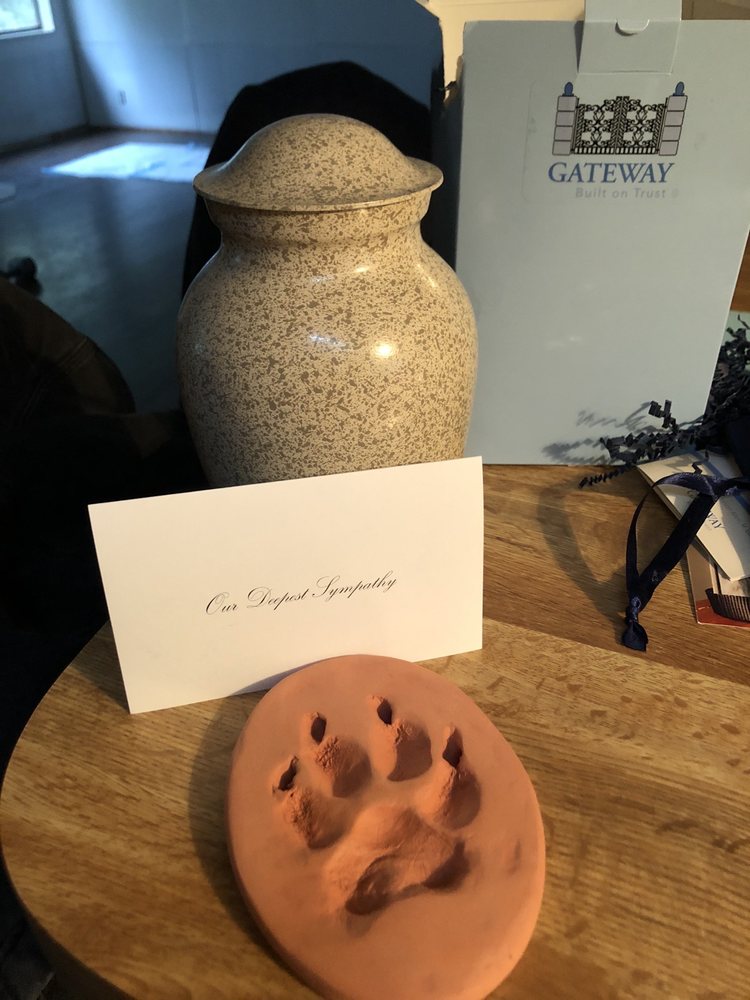 SULTAN VETERINARY CLINIC Updated October 2024 22 Reviews 207 Hwy