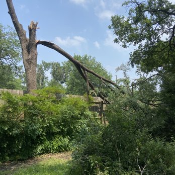 Espinoza’s Landscaping - Tree Services Near Me - Temple, Texas Espinoza’s Landscaping - Tree Services Near Me - Temple, Texas