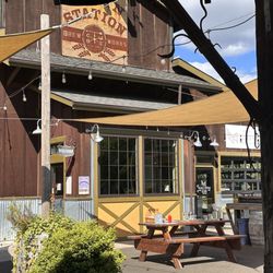 Grain Station Brew Works - Outside patio, which does allow dogs, but there are strict rules about it.