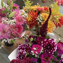 South Waterfront Farmers Market