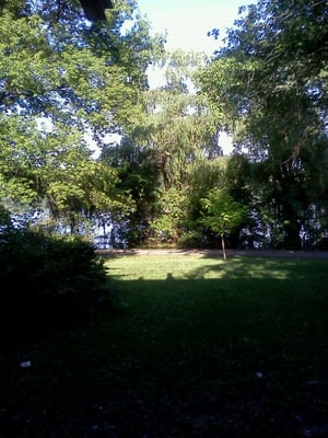 Central Park by null