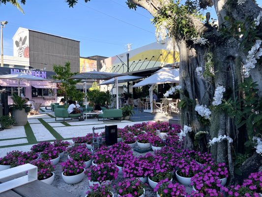 Oasis Wynwood by null Oasis Wynwood by null