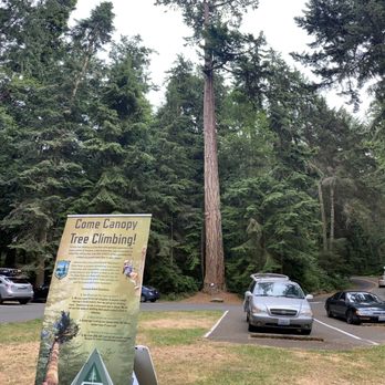 AdventureTerra - Check in area and practice tree - Rock Climbing Near Me