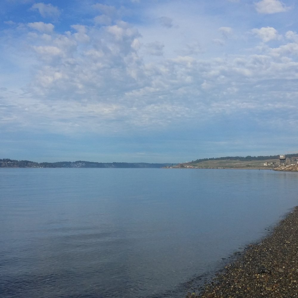 Sunnyside Beach Park - Spectacular! - Parks Near Me - Steilacoom, Washington Sunnyside Beach Park - Spectacular! - Parks Near Me - Steilacoom, Washington
