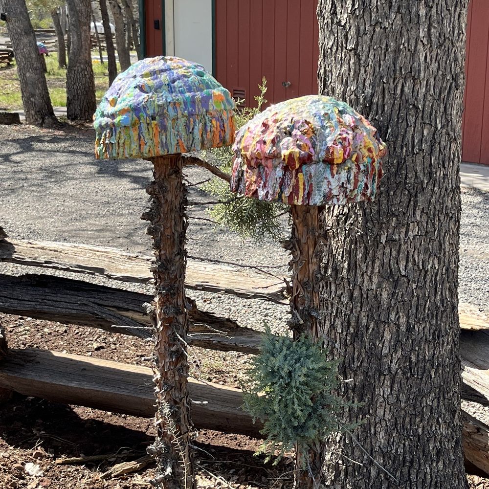 Lassen RV Resort - Art in the campground. - RV Parks Near Me - McArthur, California Lassen RV Resort - Art in the campground. - RV Parks Near Me - McArthur, California