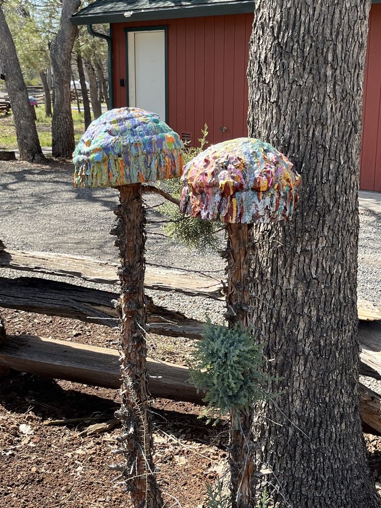 LASSEN RV RESORT Updated September 2024 84 Photos & 42 Reviews 548335 Old Highway Rd