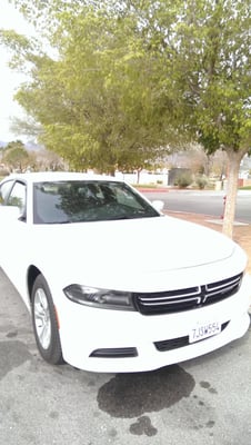 National Car Rental by null