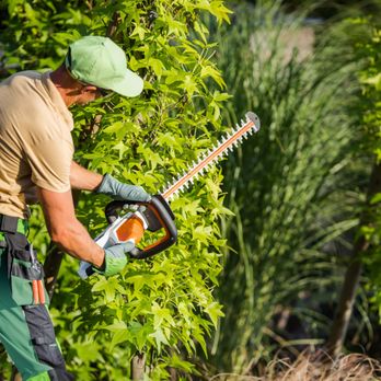 Bentancort Tree Service - Tree Services Near Me Bentancort Tree Service - Tree Services Near Me