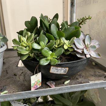 The Home Depot - Nurseries & Gardening Near Me - Valparaiso, Indiana