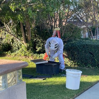 All 818 Bee Rescue - Pest Control Near Me - Granadahills, California