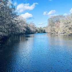 Potts Preserve - Withlacoochee River at Potts Preserve