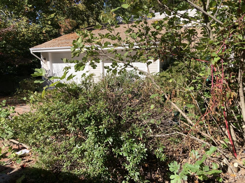 Mr Greens Landscaping - tree service in Richmond, VA